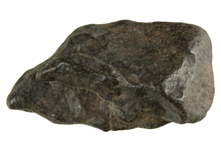 Carbonaceous Chondrite Meteorite ( g) - NWA #313738